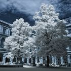 Arkadenhof der Universität Wien