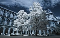 Arkadenhof der Universität Wien