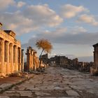 Arkadenstrasse (Hierapolis) Stimmungsvoll im Sonnenuntergang