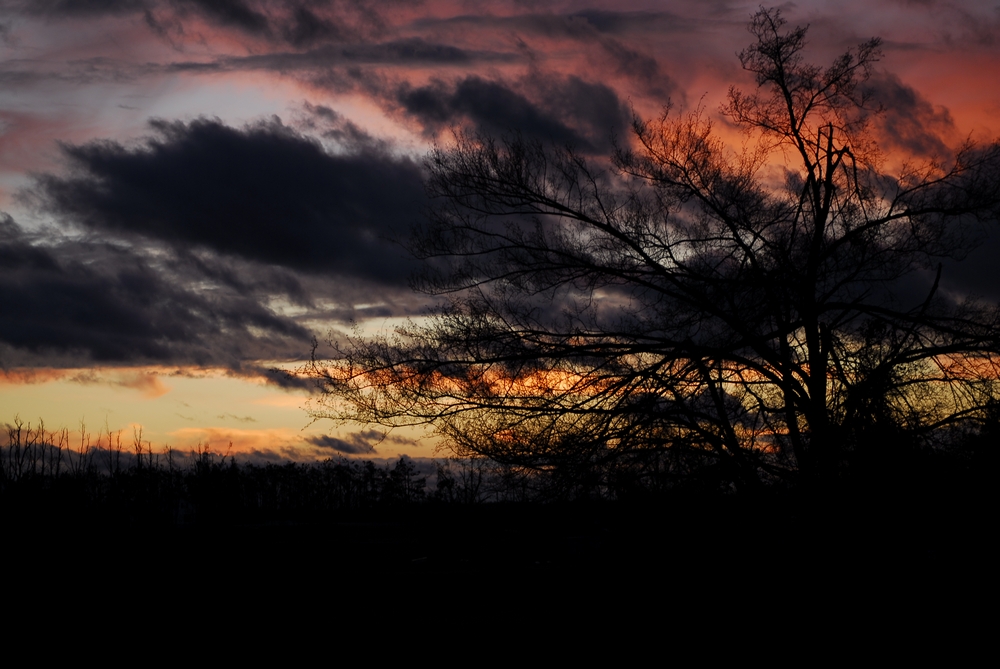 Arkansas Sunset