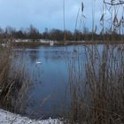 Arkenberge - 2017-01-05 - Der erste Hauch von Schnee