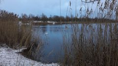 Arkenberge - 2017-01-05 - Der erste Hauch von Schnee