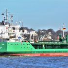 ARKLOW VENUS