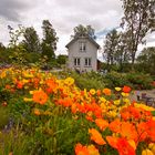 Arktisch Botanischer Garten in Tromsö