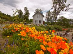 Arktisch Botanischer Garten in Tromsö