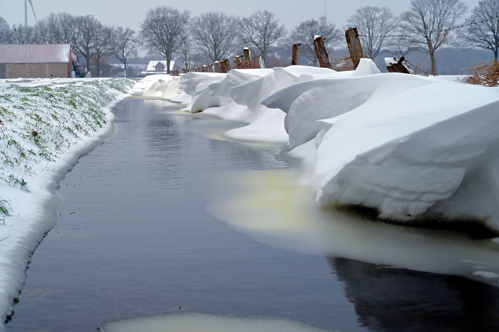 Arktisch-winterliche Formen