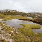 Arktische Fjäll-Landschaft im Beinn Eigh Nature Reserve