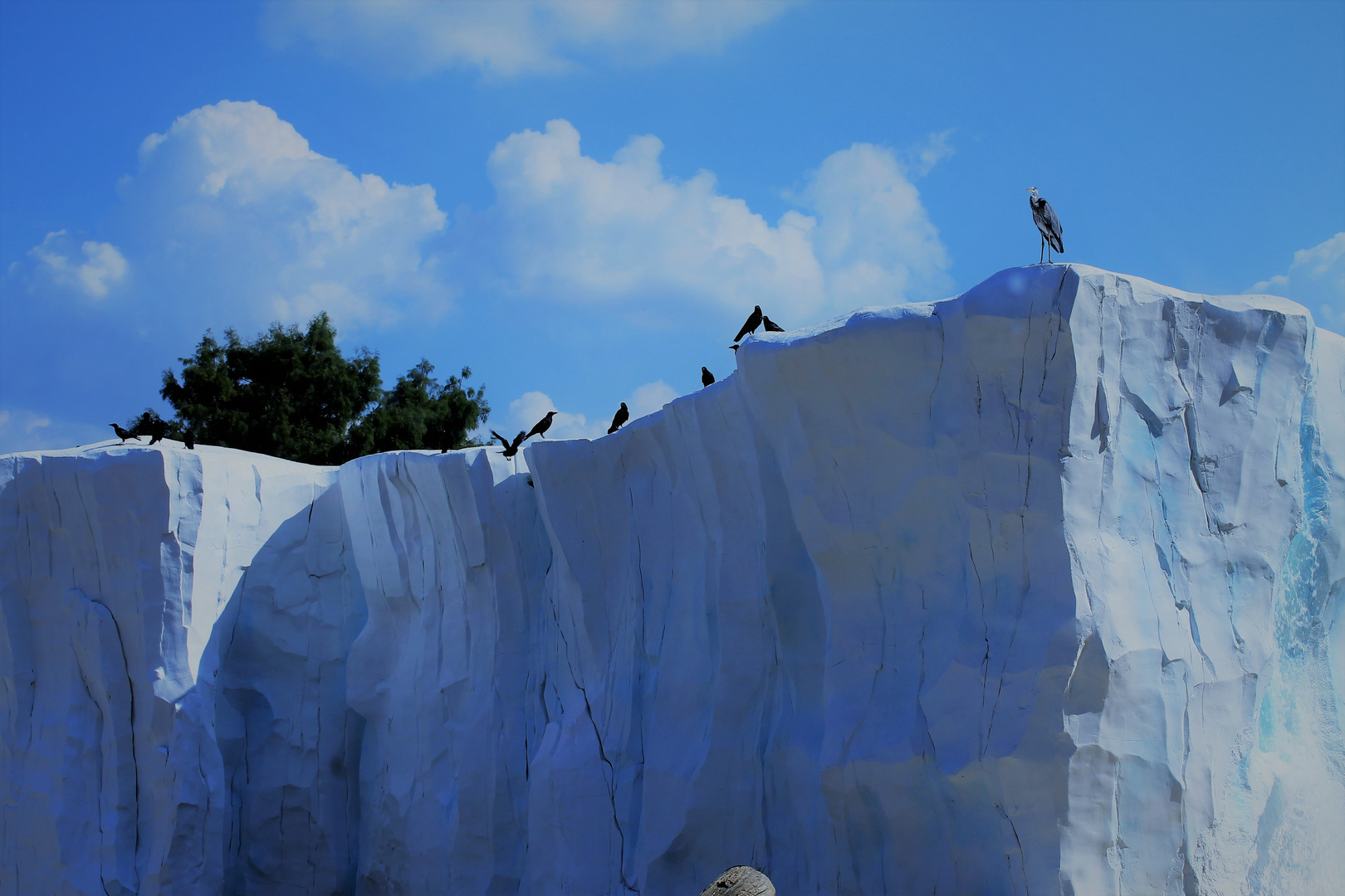 Arktische Impressionen im Karlsruher Zoo