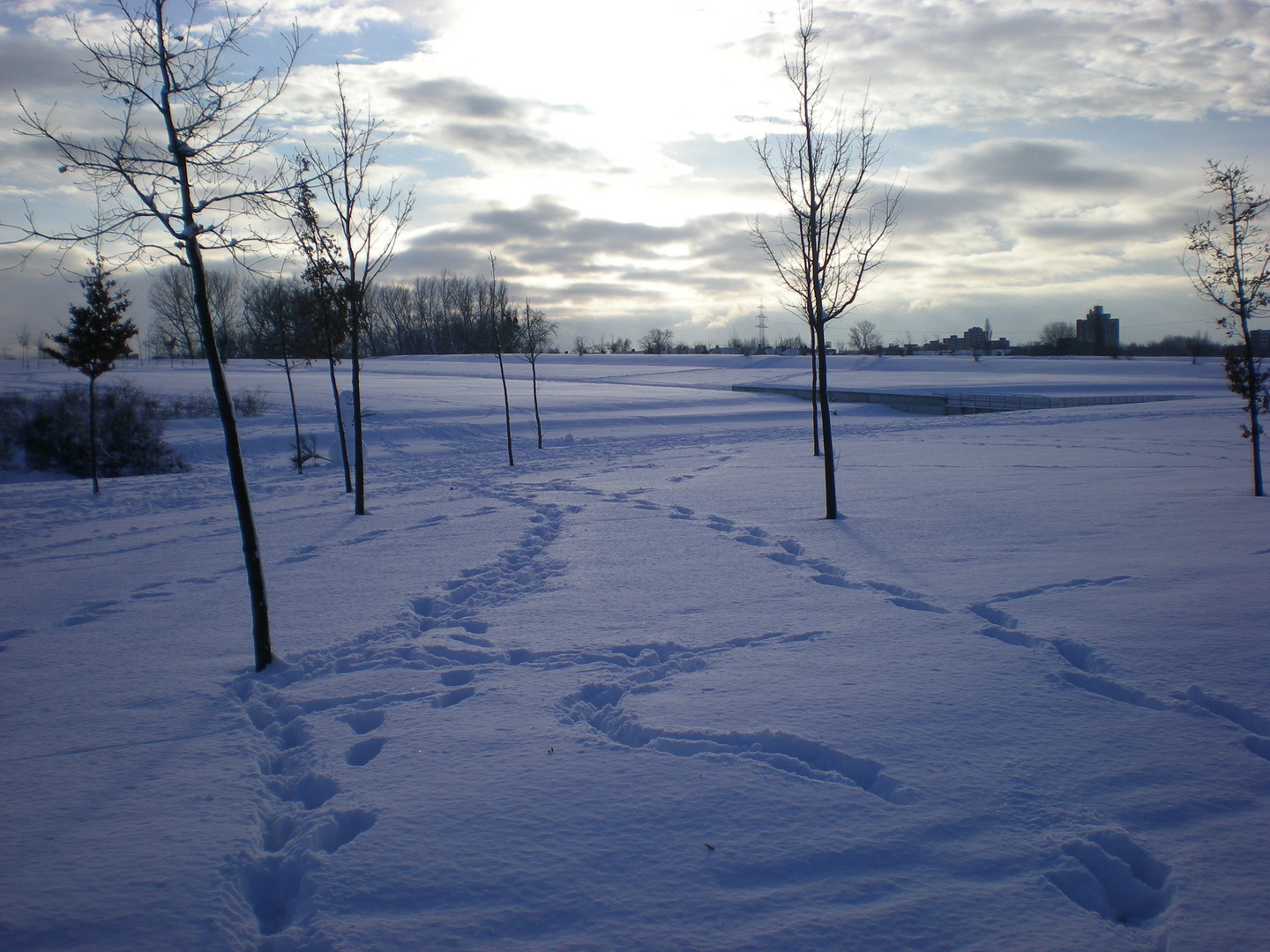 Arktische Landschaft