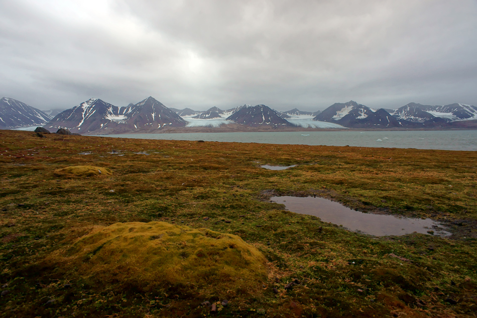 Arktisches Land Spitzbergen / Svalbard - Reisebericht 2008 / 007 (Die Tundra)