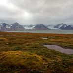 Arktisches Land Spitzbergen / Svalbard - Reisebericht 2008 / 007 (Die Tundra)