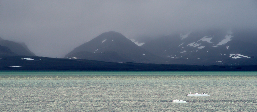 Arktisches Land Spitzbergen / Svalbard - Reisebericht 2008 / 012 (Ein arktisches Farbspiel)