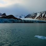 Arktisches Land Spitzbergen / Svalbard - Reisebericht 2008 / 015 (Verträgt keine lauten Worte)
