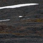 Arktisches Land Spitzbergen / Svalbard - Reisebericht 2008 / 019 (Der Eisbär)