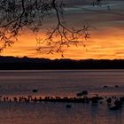 Arlaching, der See, die Berge, der Himmel