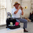 Arles - Musikant vor dem römischen Theater