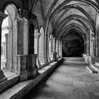 Arles, Saint Trophime, chiostro