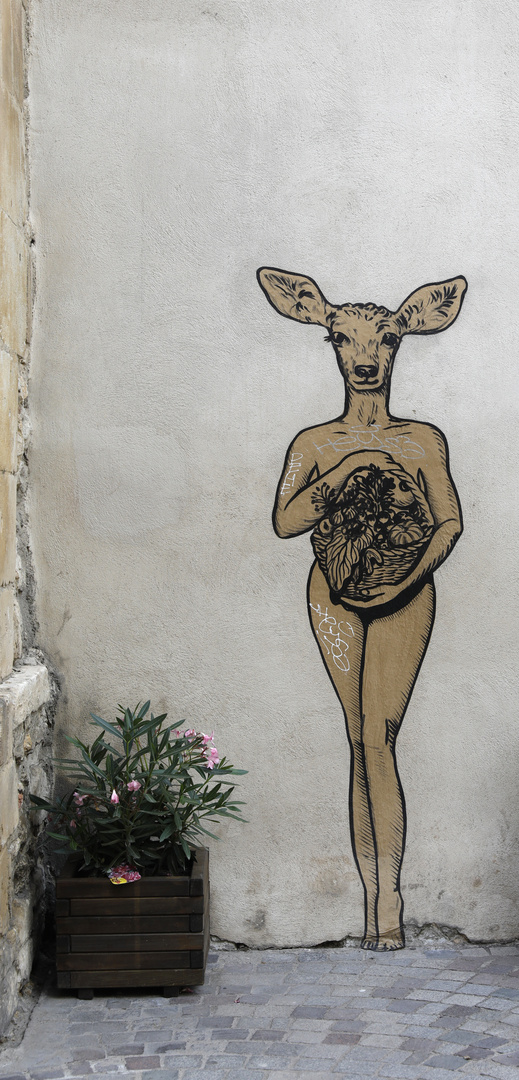 Arles StreetArt