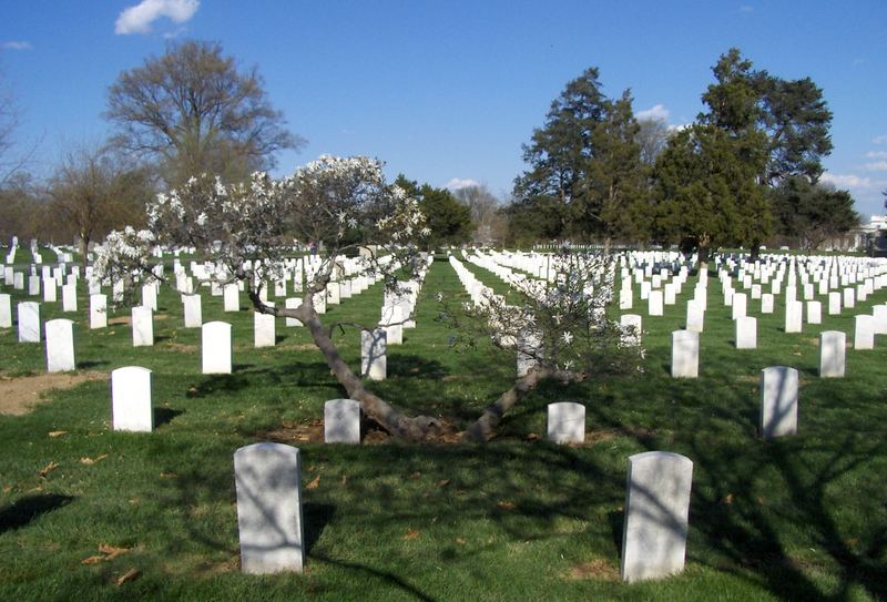 Arlington