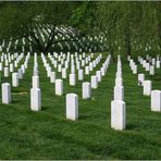 Arlington Cemetery 02