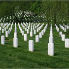 Arlington Cemetery 02