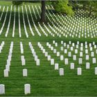 Arlington Cemetery 03