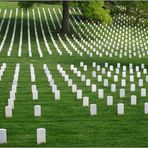 Arlington Cemetery 03