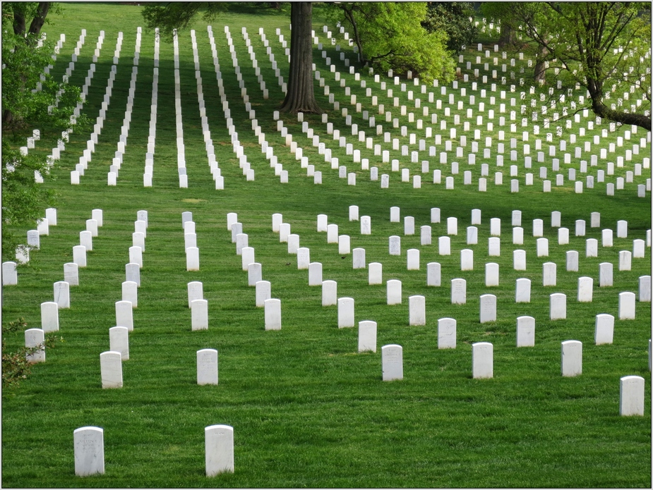 Arlington Cemetery 03