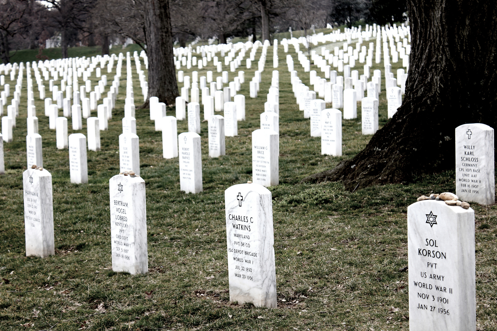 Arlington Cemetery