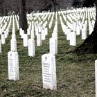 Arlington Cemetery