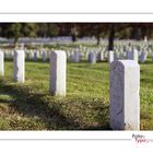 Arlington Cemetery 1