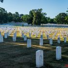 Arlington Cemetery