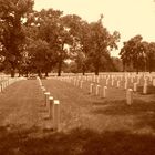 Arlington Cemetery