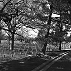 Arlington cemetery