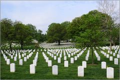 Arlington Cemetery