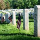 Arlington Cemetery