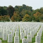 Arlington Cemetery