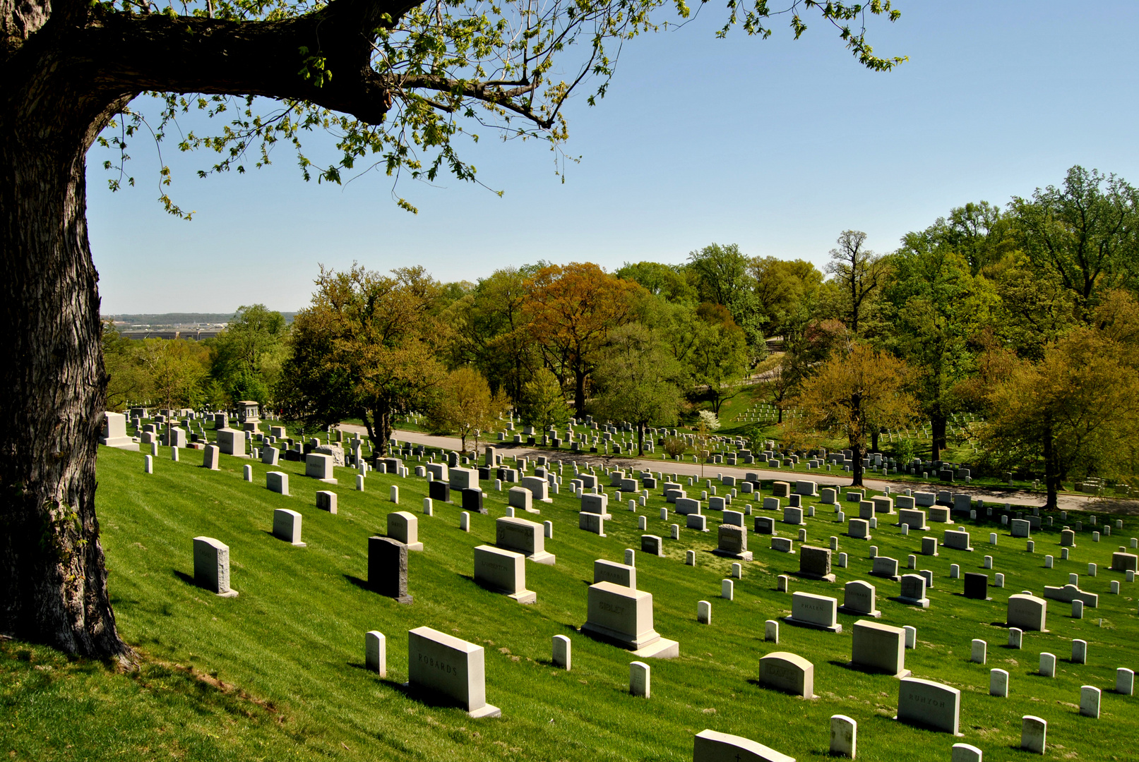 Arlington Cemetery