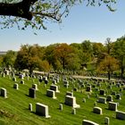 Arlington Cemetery