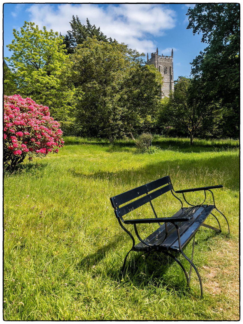 Arlington Court Garden