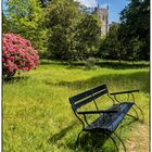 Arlington Court Garden