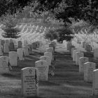 Arlington National Cemetery