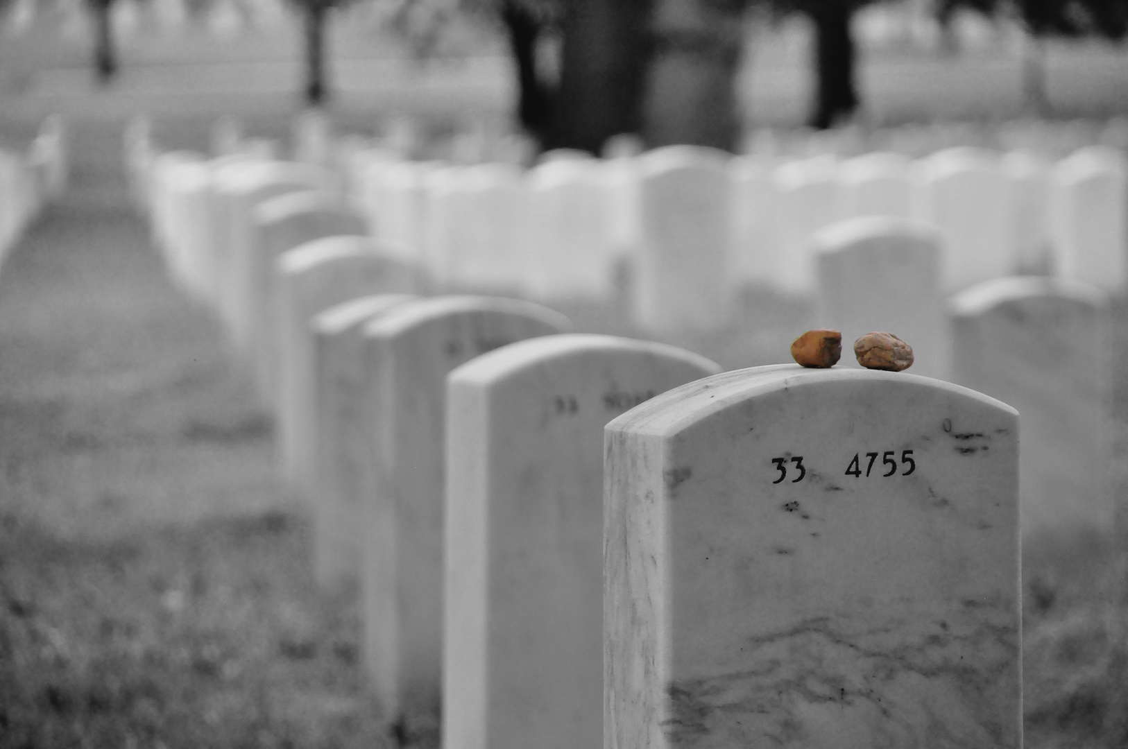 Arlington National Cemetery