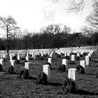 Arlington National Cemetery