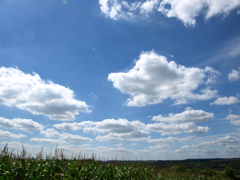 Armada der Wolkenschiffe