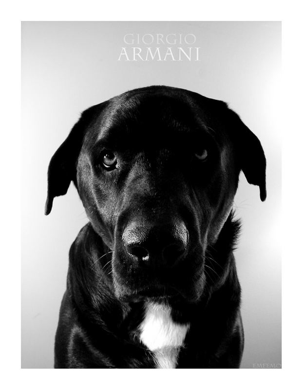 Armani