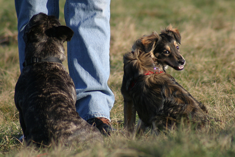 Armani & Finja  --- ... blick zurück.