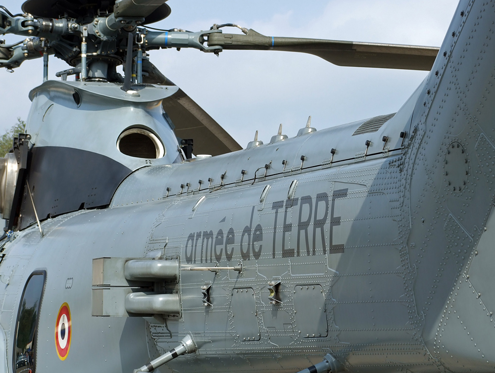 Armee de Terre