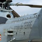 Armee de Terre