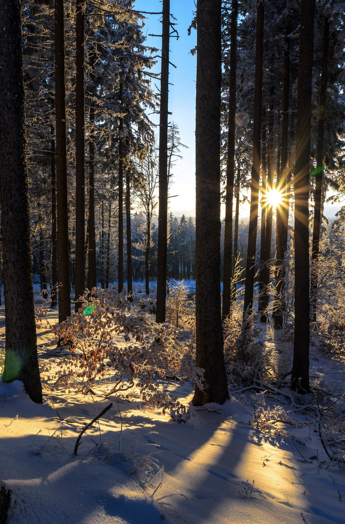 Armeleuteberg im Harz